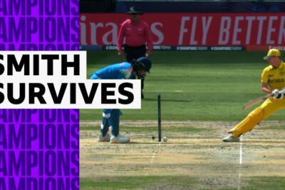 'Bosh!' – Ball hits stumps but fails to dislodge bails